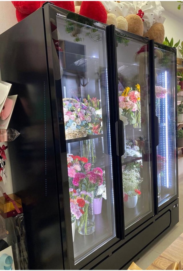 Tirane, oferte Frigorifer