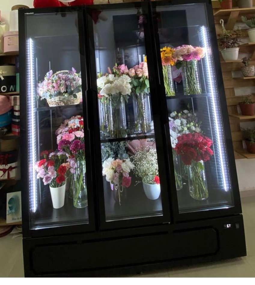 Tirane, oferte Frigorifer