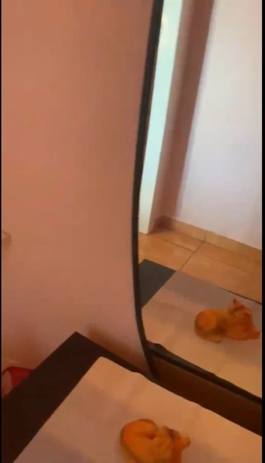 Tirane, jepet me qera apartament 2+1 Kati 7, 110 m² 600 € (Selvia)