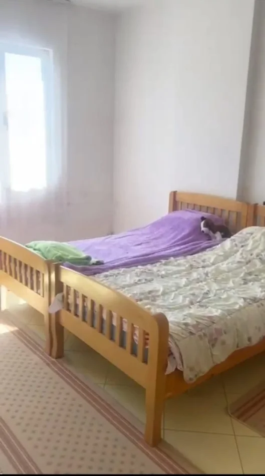 Tirane, jepet me qera apartament 1+1 Kati 5, 85 m² 400 € (Astir)