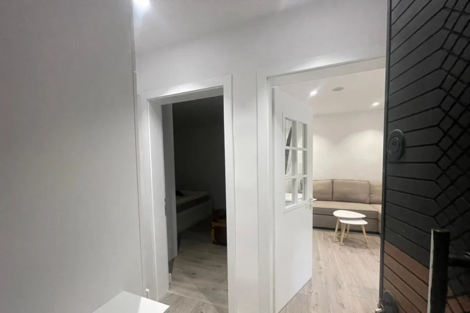 Tirane, jepet me qera apartament 1+1 Kati 4, 55 m² 550 € (Harry Fultz)