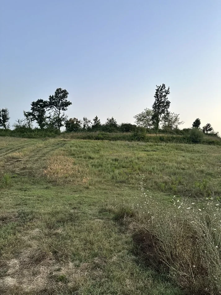 Tirane, shitet toke , 8.100 m² 202.500 € (Zall herr)