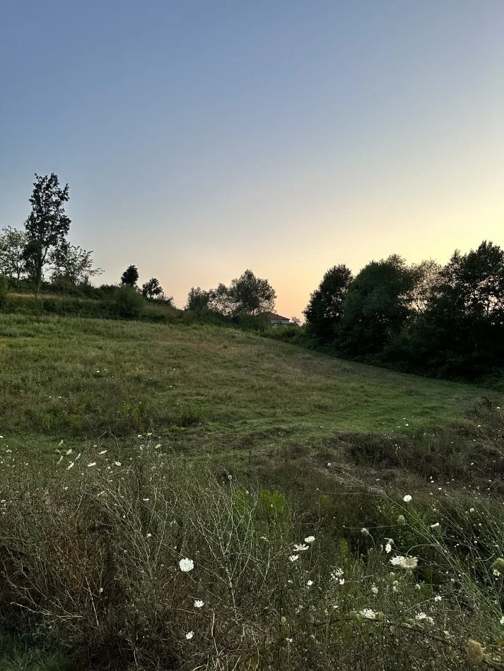 Tirane, shitet toke , 8.100 m² 202.500 € (Zall herr)