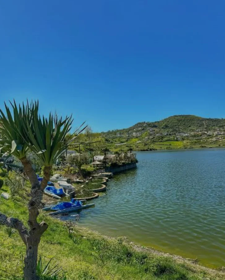 Tirane, shitet toke , 3.000 m² 180.000 € 