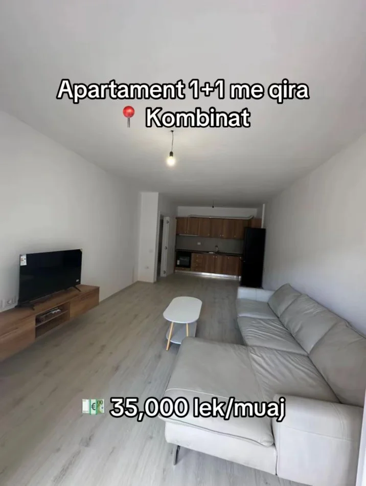 Tirane, jepet me qera apartament 1+1 Kati 1, 350 € (Kombinat)