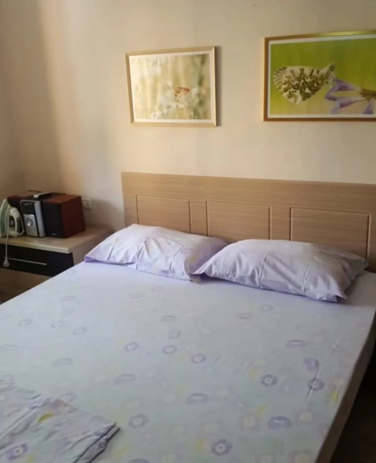 Tirane, jepet me qera apartament 1+1 Kati 3, 53 m² 500 € (Rruga e Elbasanit)