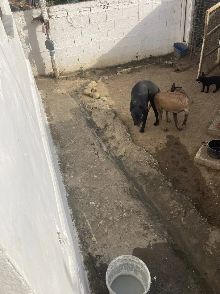 Kavaje, okazion Shitet 150 €