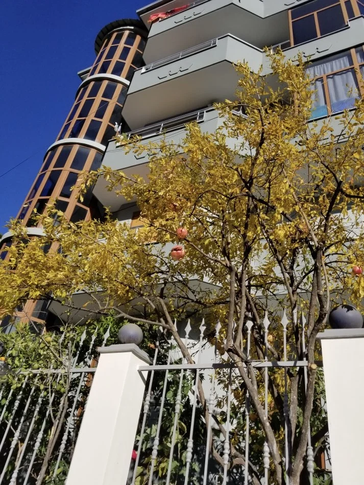 Tirane, jap me qera Vile 5 kateshe, e mobiluar, 3000 € (Dhimiter Pasko, Selite)