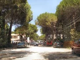 Mali Robit, jepet me qera apartament 1+1 Kati 2, 70 m² (Mali i Robi)