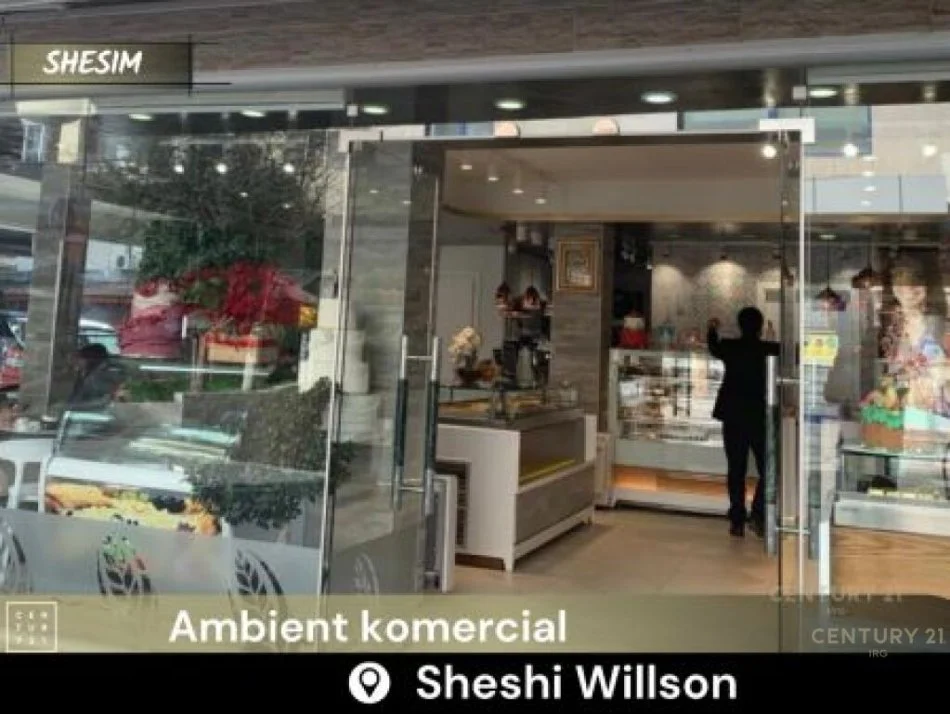 Tirane, shitet ambjent biznesi Kati 0, 103 m² 360.000 € (Sheshi Willson)