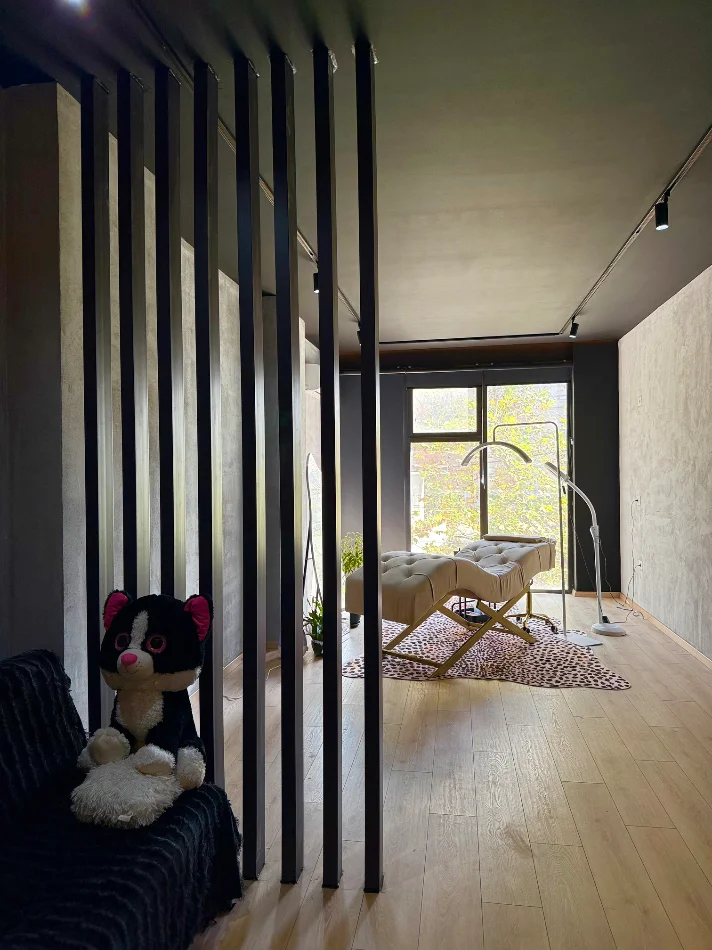 Tirane, jepet me qera ambjent biznesi Kati 1, 50 m² 250 € 