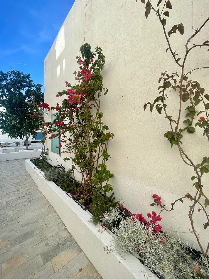 Vlore, shitet apartament 1+1+Ballkon Kati 2, 57 m² 278.000 € (Dhermi)