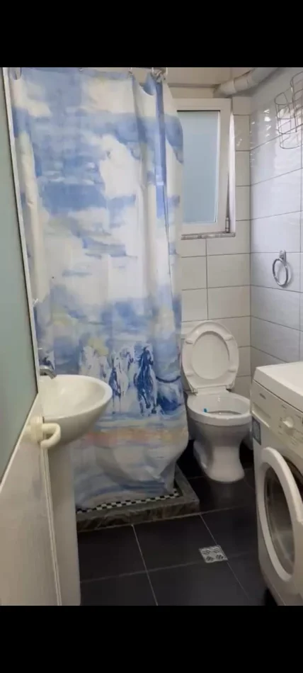 Tirane, jepet me qera apartament 1+1 Kati 2, 65 m² 350 € (Rruga Dritan Hoxha)