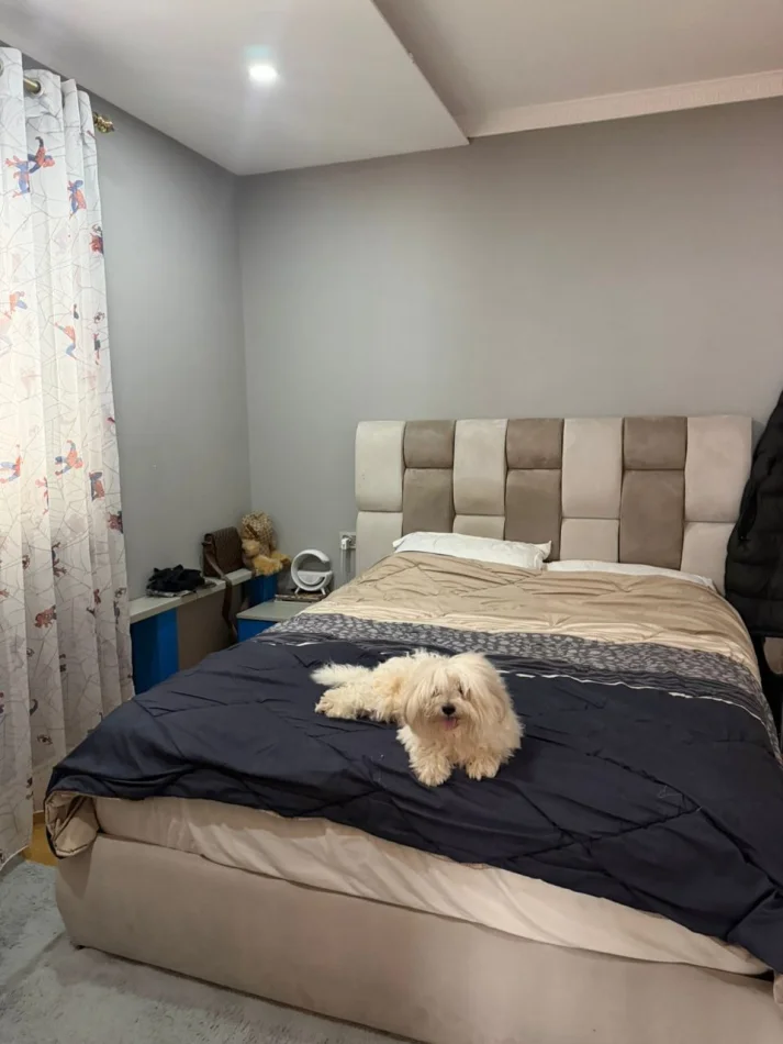 Tirane, shitet apartament 3+1 Kati 3, 128 m² 300000 € (Komuna E Parisit)