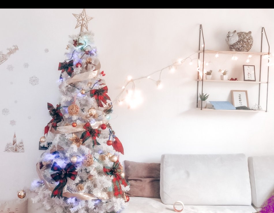 Tirane, jepet me qera shtepi 2+1 Kati 0, 60 m² 400 € (Pjeter Budi)