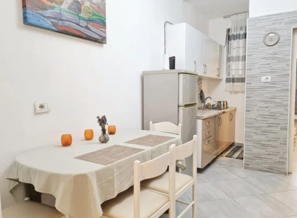 Tirane, jepet me qera apartament 1+1 Kati 1, 58 m² 450 € (Myslym Shyri)