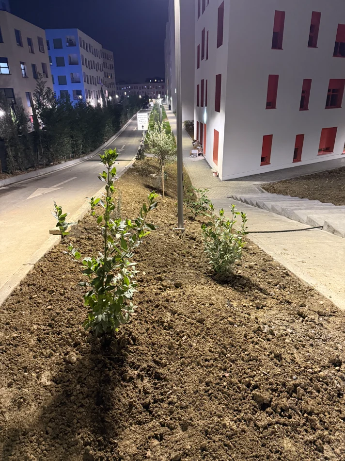 Tirane, jepet me qera apartament Kati 3, 50 m²  450 mije leke.  (Mangalem 21)