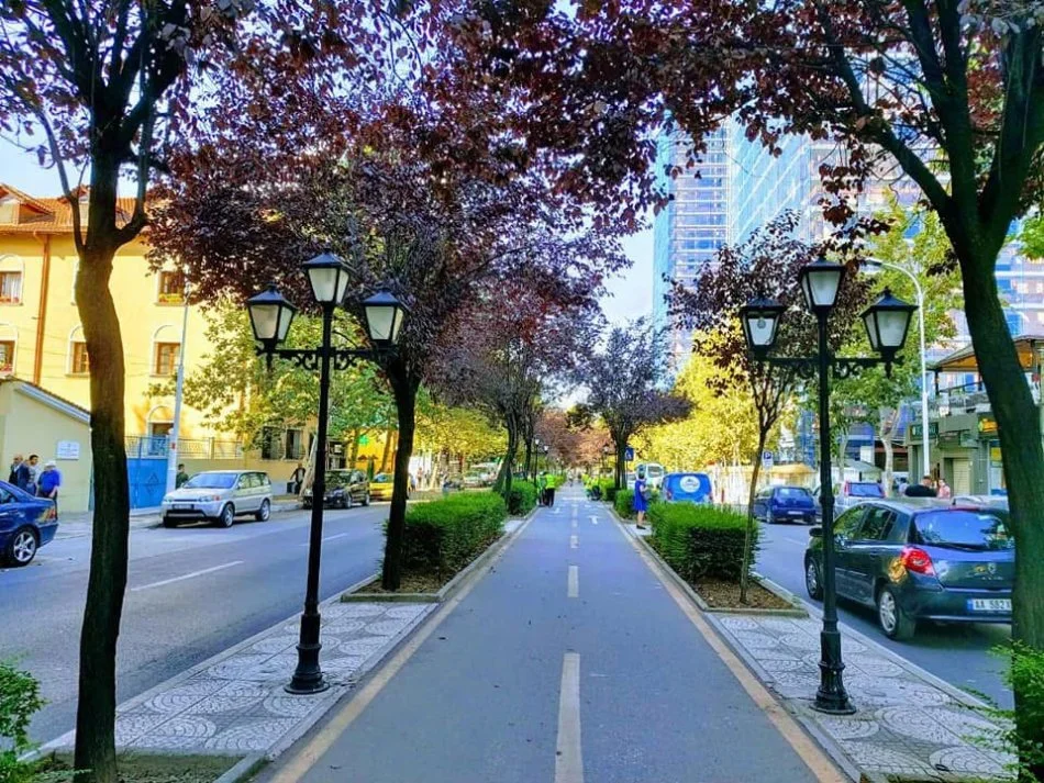 Tirane, jap me qera apartament 2+1+Aneks Kati 2, 77 m² 800 € (Rruga e Kavajes okazion ambient zyre qira)