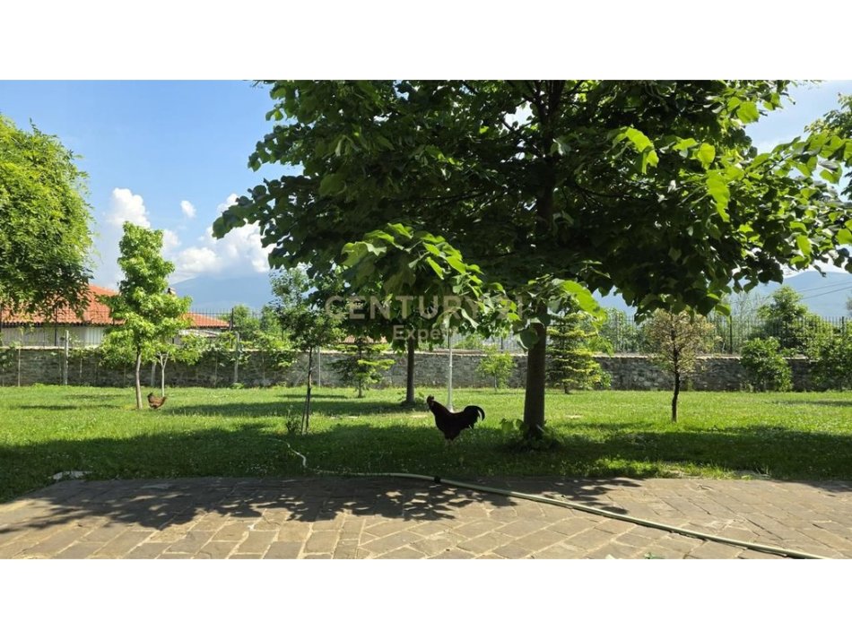 Tirane, jap me qera Vile 3 Katshe , 1.640 m² 3.500 € (DOBRESH)