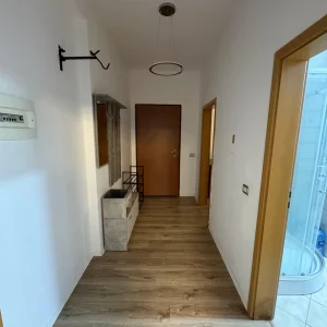 Tirane, jepet me qera apartament 1+1+Ballkon Kati 5, 88 m² 60,000 ALL (Liqeni i thate)
