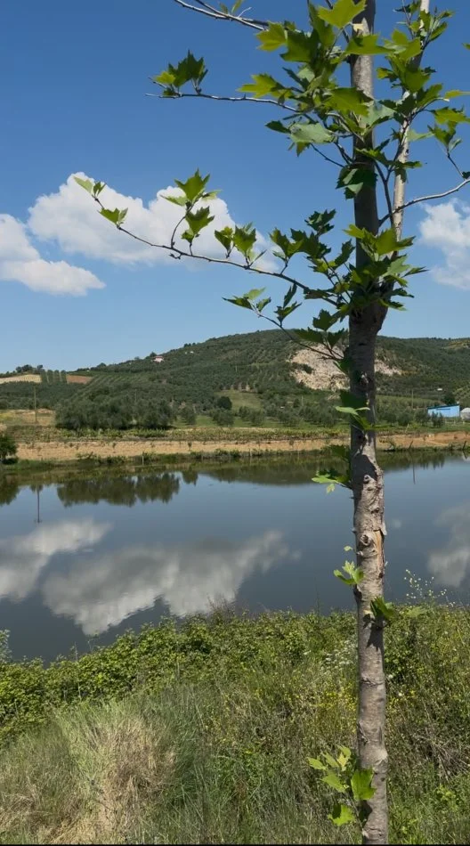 Elbasan, shitet toke , 3.600 m² (Rruga Kryesore Unaza Belsh)