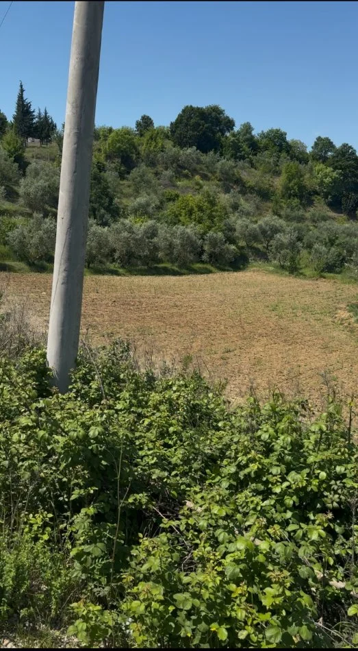 Elbasan, shitet toke , 3.600 m² (Rruga Kryesore Unaza Belsh)