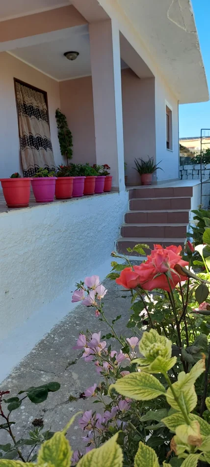 Fier, shitet shtepi 2+1 Kati 1, 544 m² 200.000 € (Lagja Kryengritja, ish UMBT)