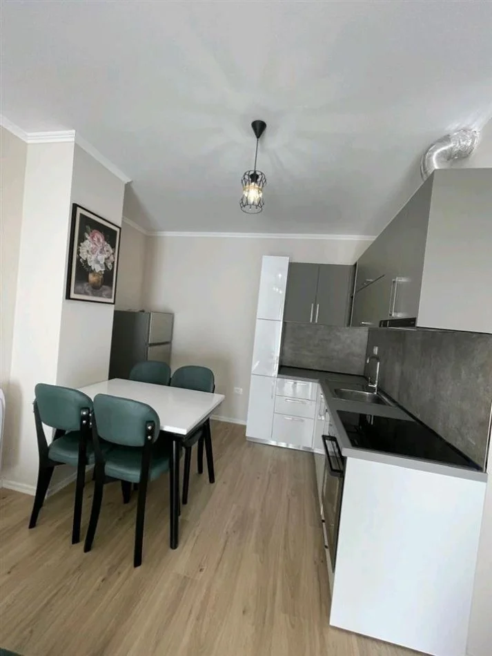 Tirane, jepet me qera apartament 1+1+Ballkon Kati 5, 70 m² 500 € (RRUGA XHANFIZE KEKO, XHAMLLIKU)