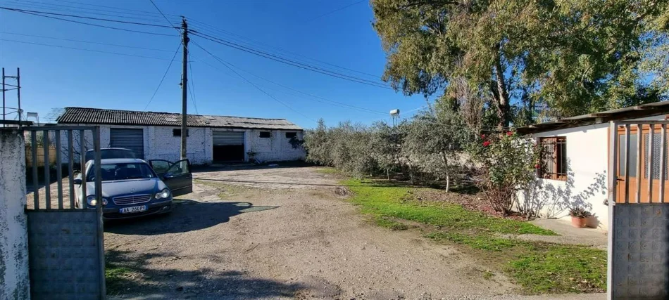 Lushnje, shitet magazine , 180 m² 60.000 € (Bishqethem)