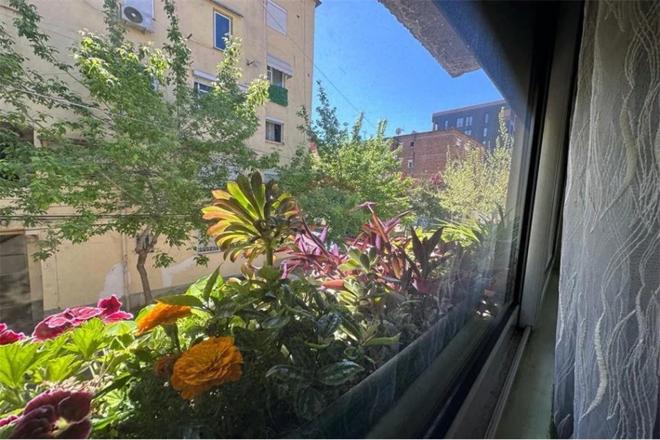 jepet me qera , 50 m² 450 € (APARTAMENT ME QIRA 1+1 NE QENDER)