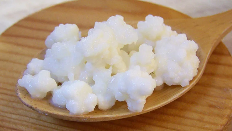 Tirane, shes Kerpudha Kefiri 10 €