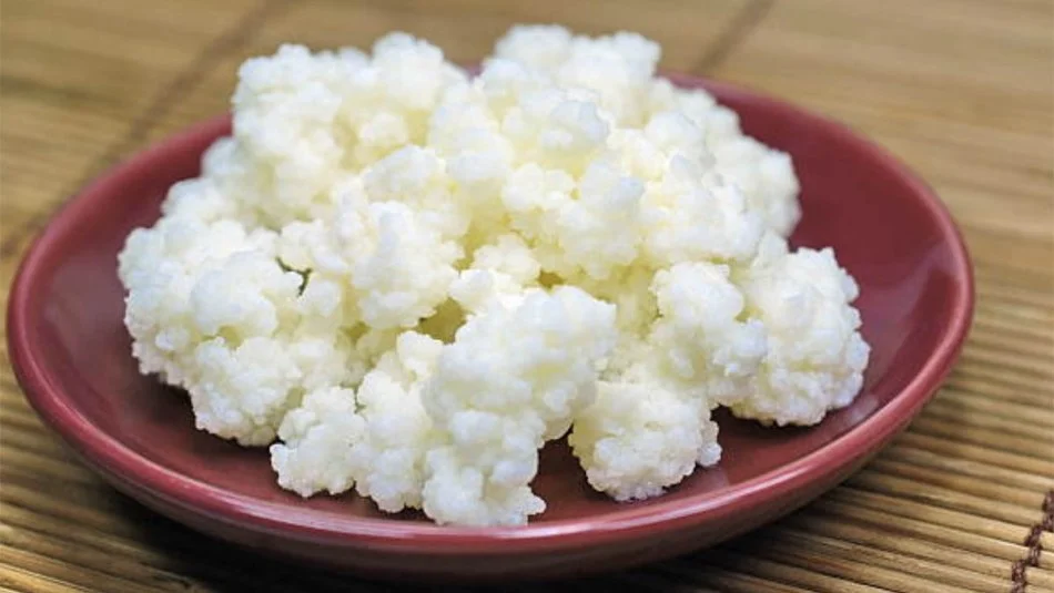 Tirane, shes Kerpudha Kefiri 10 €