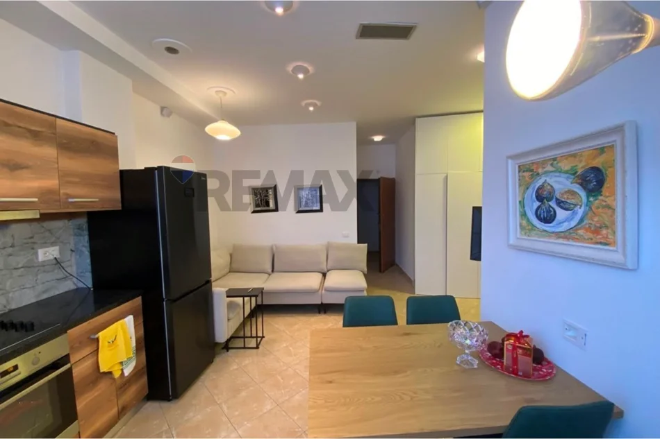 Tirane, jepet me qera apartament 1+1 Kati 2, (Xhamllik)