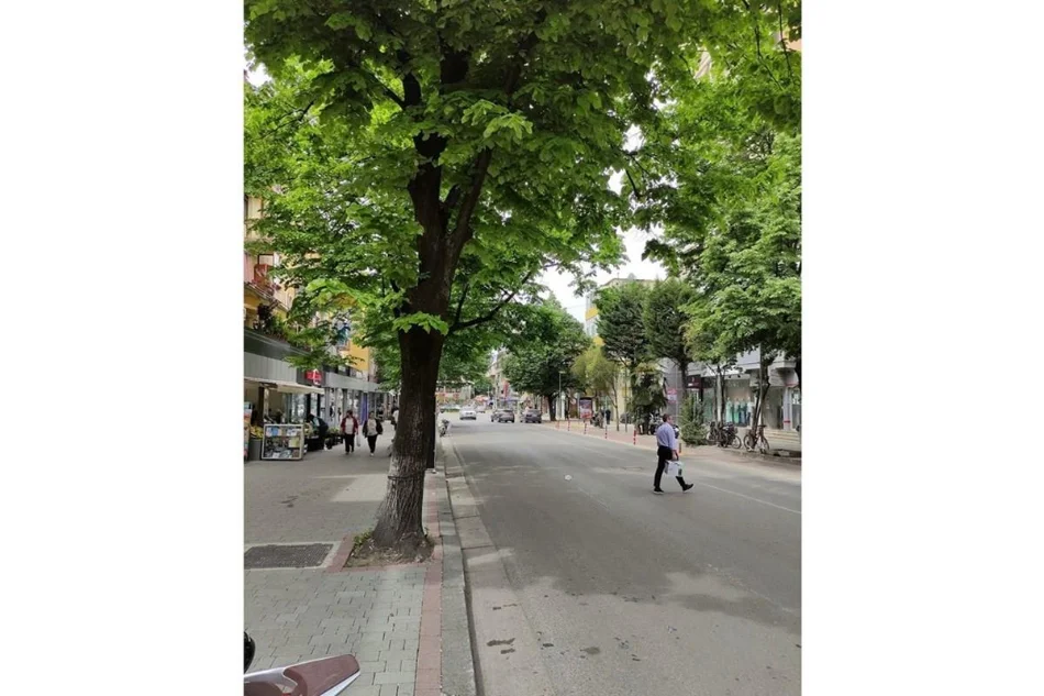 Tirane, jepet me qera ambjent biznesi Kati 0, 200 m² 2.000 € (Rruga Abdyl Frashëri, Tiranë)