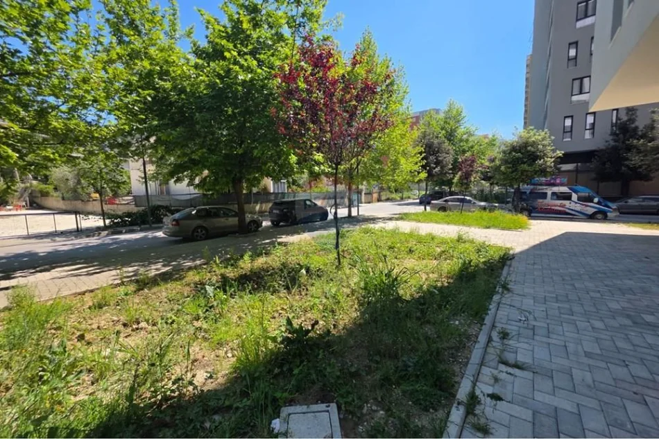 Vlore - Lungomare, jepet me qera ambjent biznesi Kati 0, 92 m² 80.000 € (Lungomare, Vlorë)