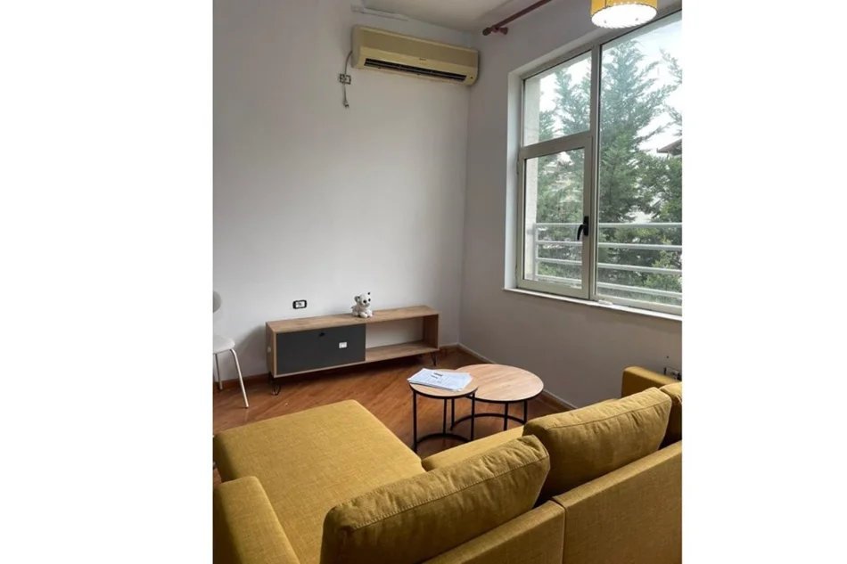 Tirane, jepet me qera apartament 1+1 , 62 m² 450 € (liqeni i thate)