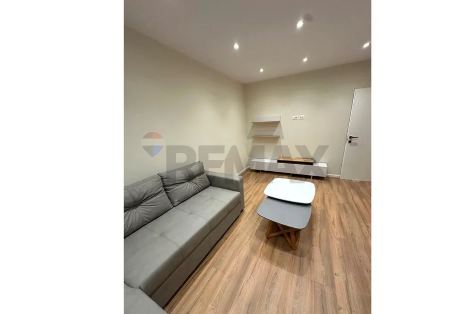 ALI DEMI, JAPIM ME QIRA APARTAMENT 2+1 - 60.000 Leke