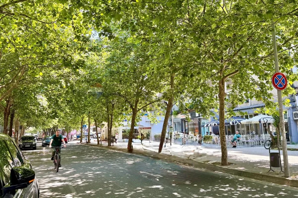 Tirane, jepet me qera , 181 m² 1.500 € (Rruga Odhise Paskali Sheshi Shtraus, Tiranë)