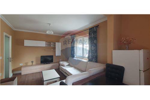 Tirane, jepet me qera apartament 1+1 , 50 m² 450 € (Libri Universitar, Shqipëri)