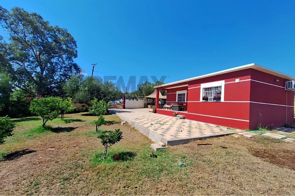 Radhime - Orikum, shitet shtepi 1+1 Kati 1, 600 m² 380.000 € (Radhime, Vlore)