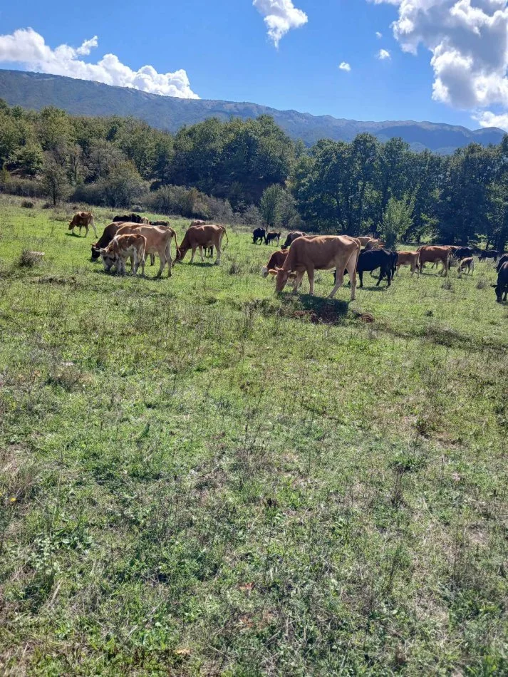 Gjirokaster, shes Lop mali