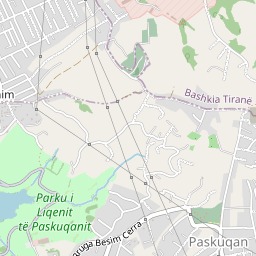 Tirane, shitet ambjent biznesi Kati 0, 149 m² 178.260 € (Paskuqan)