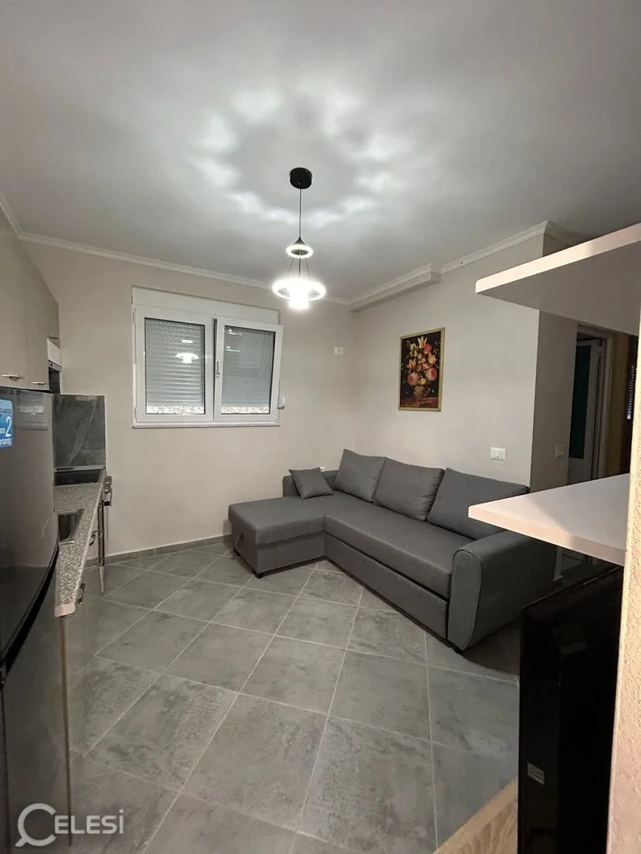 Tirane, jepet me qera shtepi 1+1 Kati 1, 45 m² 350 € (rruga Xhon Belushi)