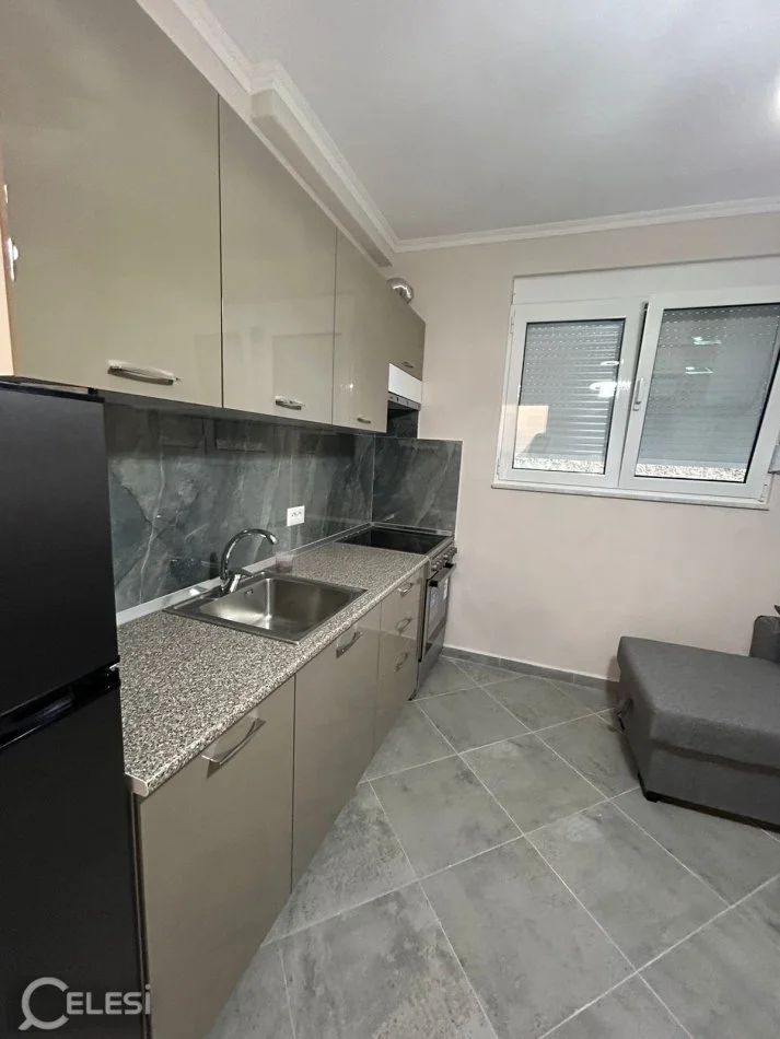 Tirane, jepet me qera shtepi 1+1 Kati 1, 45 m² 350 € (rruga Xhon Belushi)