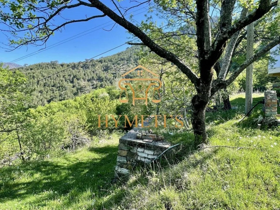 Elbasan, shitet Vile 2 Katshe , 162 m² 299.000 € (Gjinar)