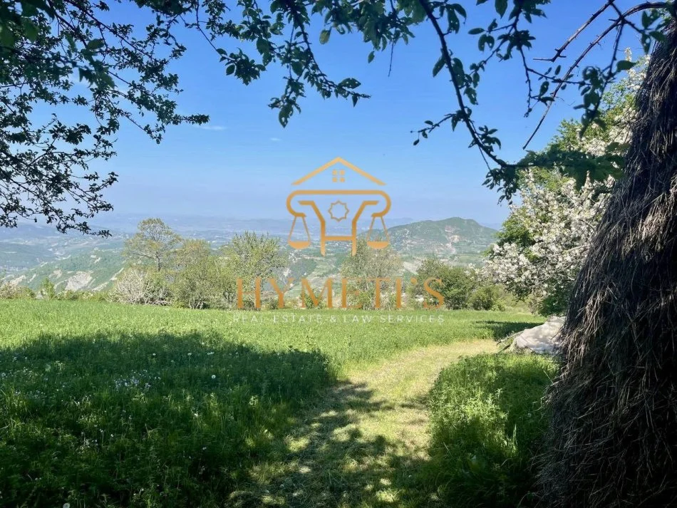 Elbasan, shitet Vile 2 Katshe , 162 m² 299.000 € (Gjinar)