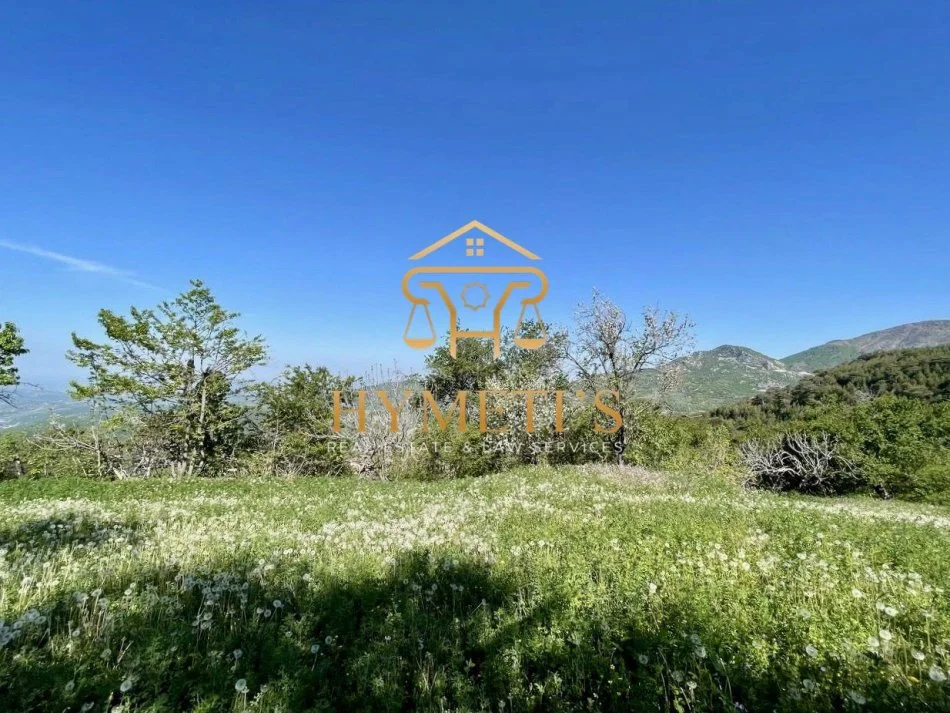 Elbasan, shitet Vile 2 Katshe , 162 m² 299.000 € (Gjinar)