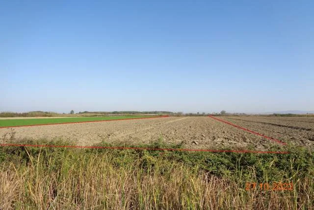 Shitet Are, 6593 m2, Cmimi Referues 1,700,000 Leke (Gorre, Lushnje)