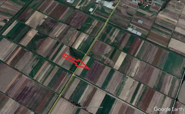 Shitet Are, 6593 m2, Cmimi Referues 1,700,000 Leke (Gorre, Lushnje)