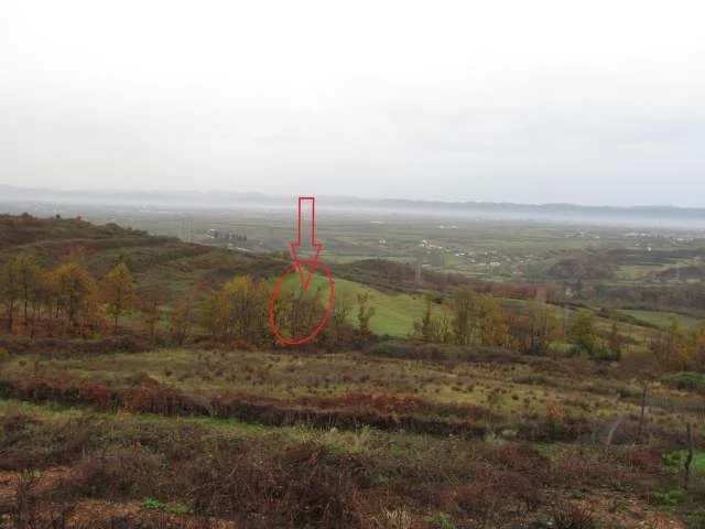 Kruje, Shitet Toke Are 5.000 m², Cmimi Fillestar 3,096,000 Leke (Koder-Thumane)